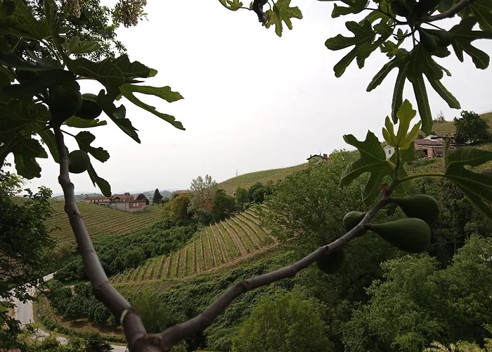 Podere Valle Pozzo