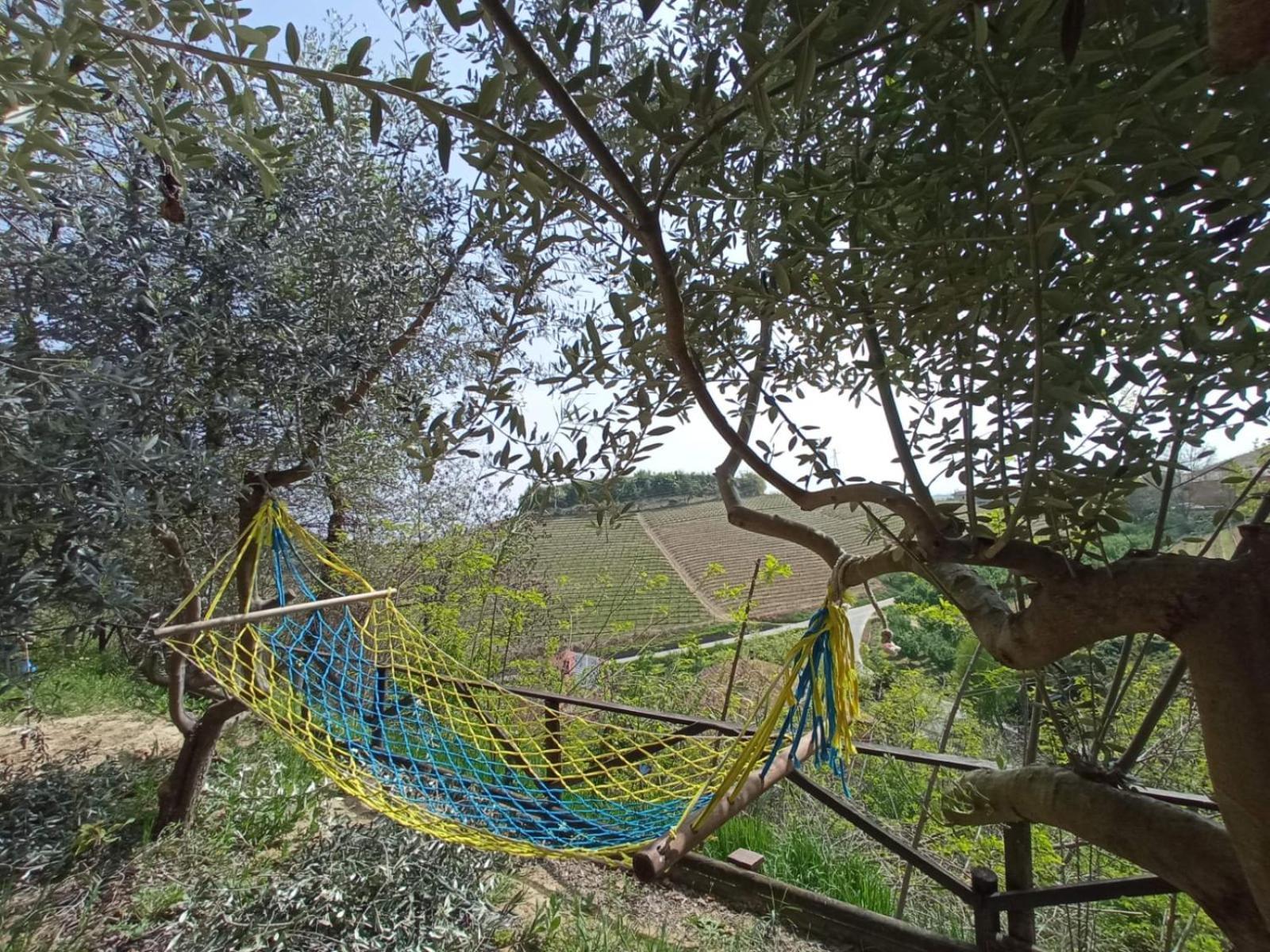 Podere Valle Pozzo Homestay *