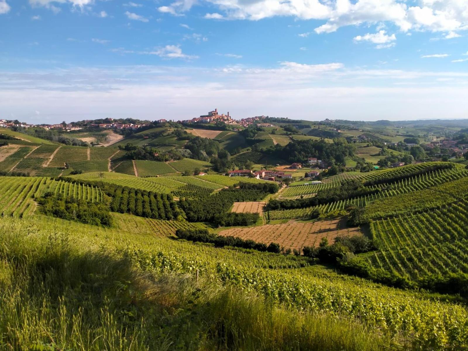 Podere Valle Pozzo Homestay