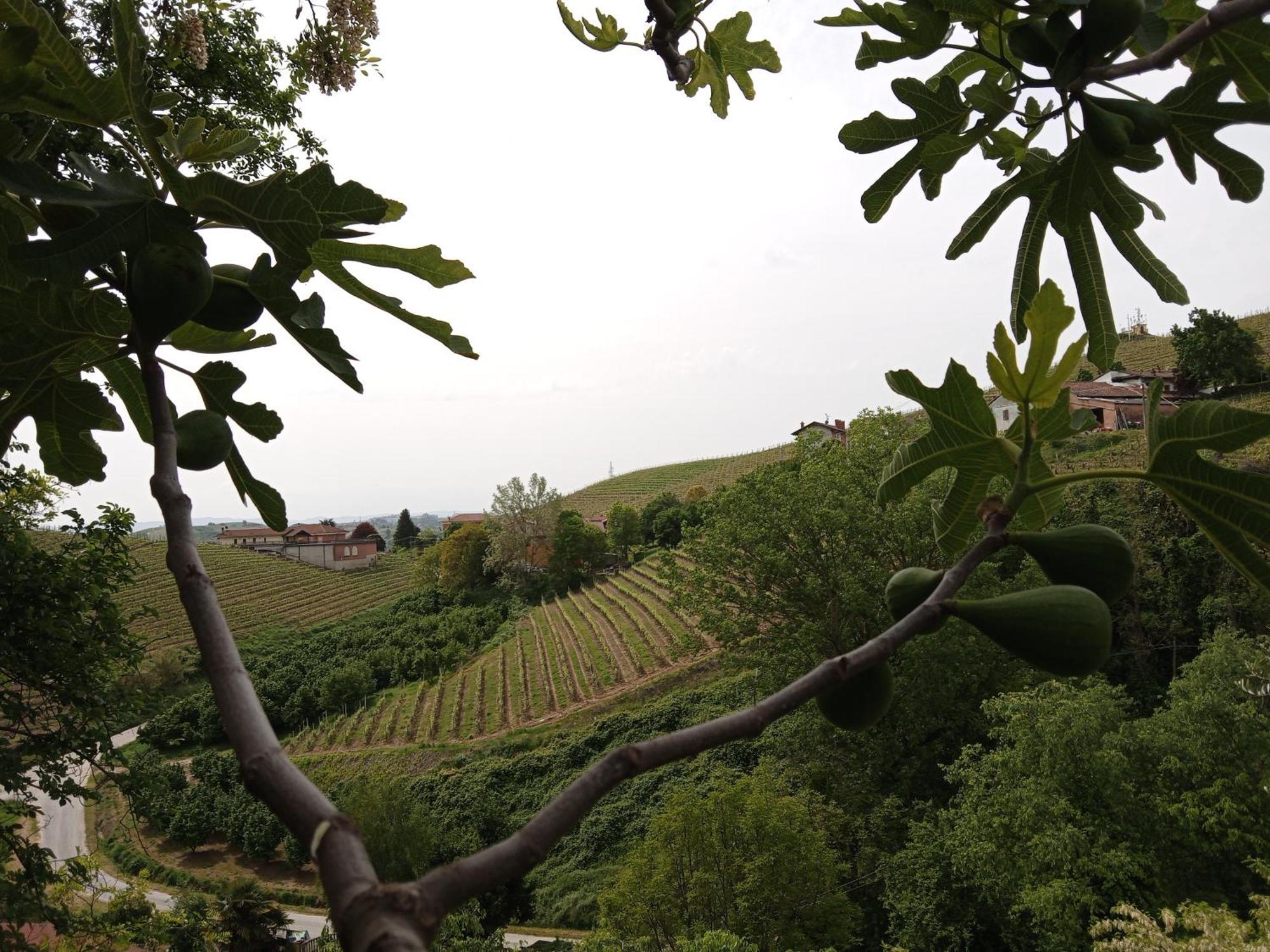 Homestay Podere Valle Pozzo Canale